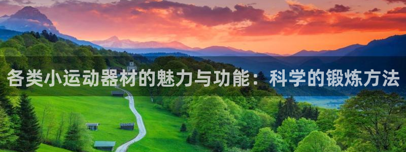 意昂4新能源:各类小运动器材的魅力与功能:科学的锻炼方法