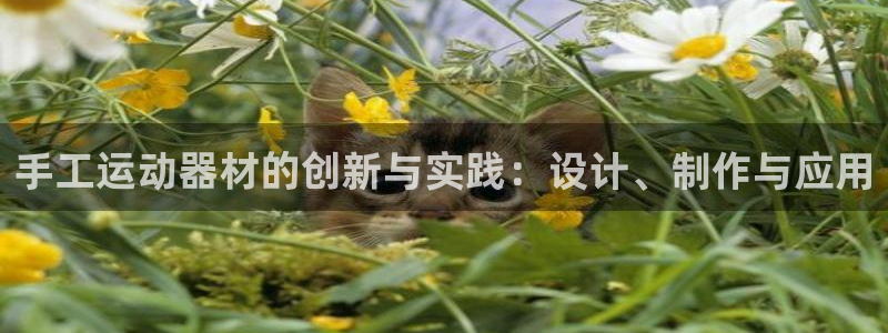 意昂体育4软件:手工运动器材的创新与实践:设计、制作与应用