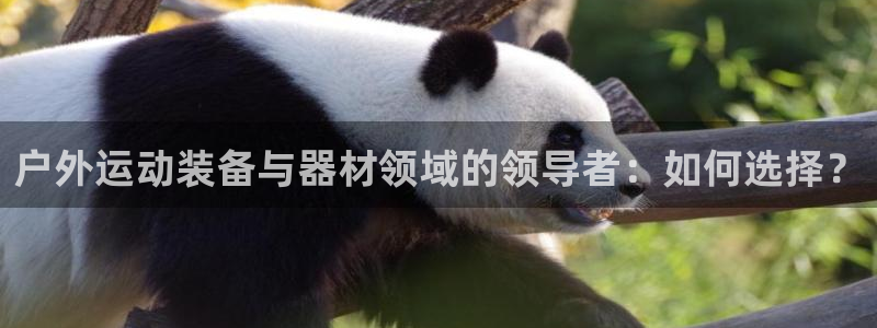 意昂4神州:户外运动装备与器材领域的领导者:如何选择?