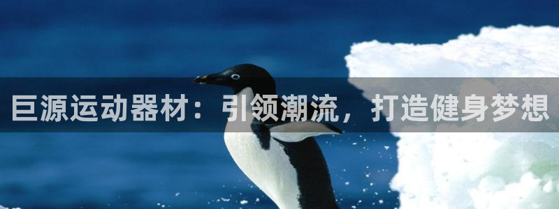 意昂体育4平台假的吗是真的吗:巨源运动器材:引领潮流,打造健